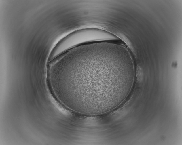 X0000089381028200706221249