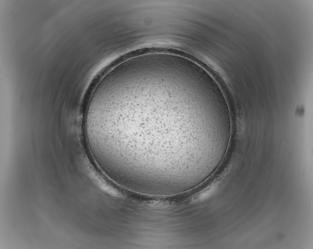 X0000089381029200706221249