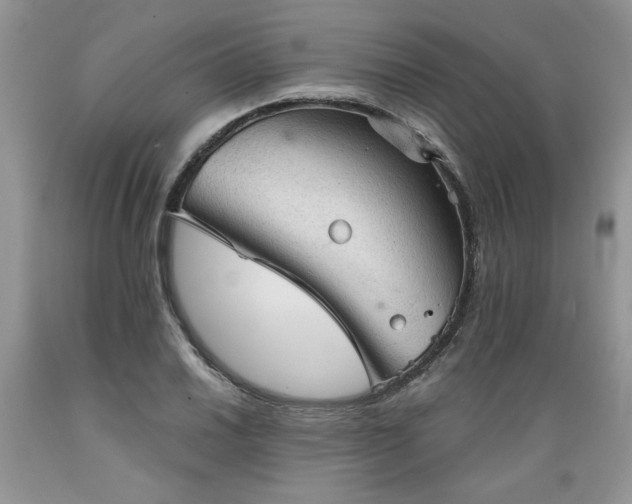 X0000089381030200706221249