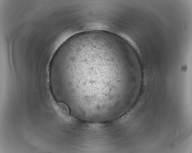 X0000089381031200706221249