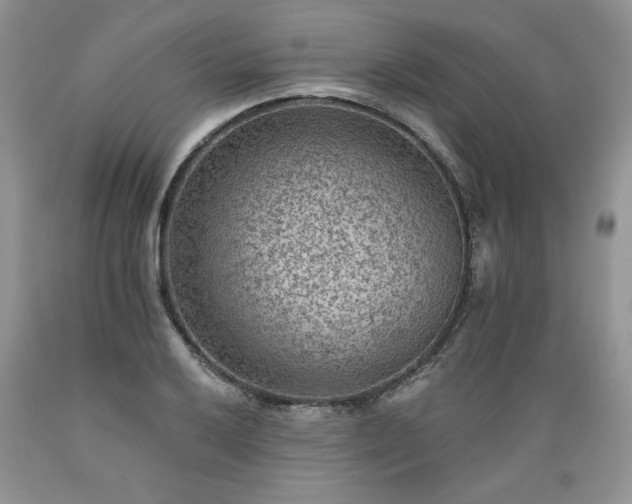 X0000089381032200706221249