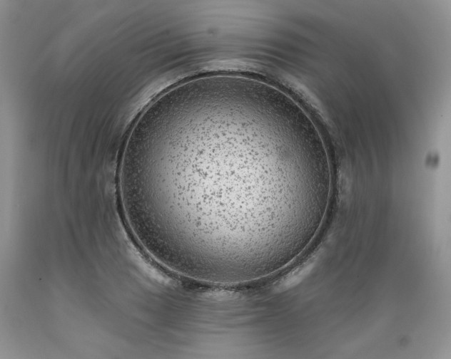 X0000089381033200706221249