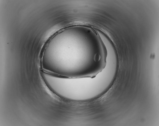 X0000089381034200706221249