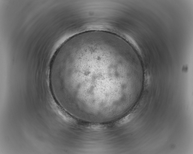X0000089381035200706221249