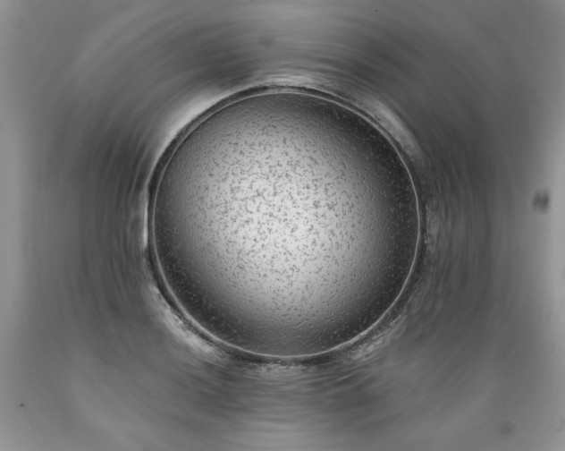 X0000089381036200706221249