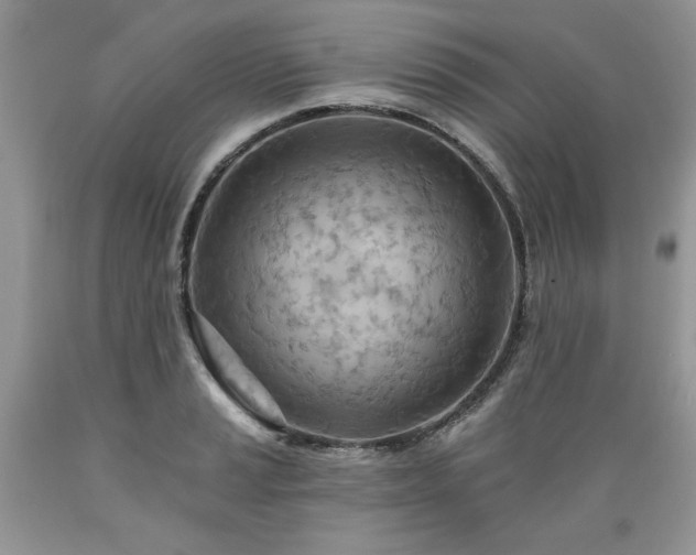 X0000089381037200706221249
