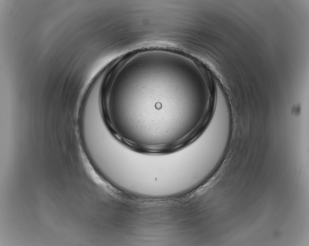 X0000089381038200706221249