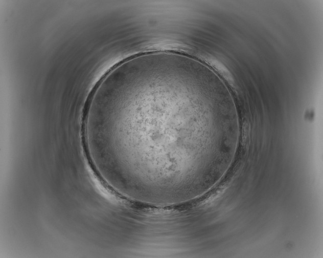X0000089381039200706221249