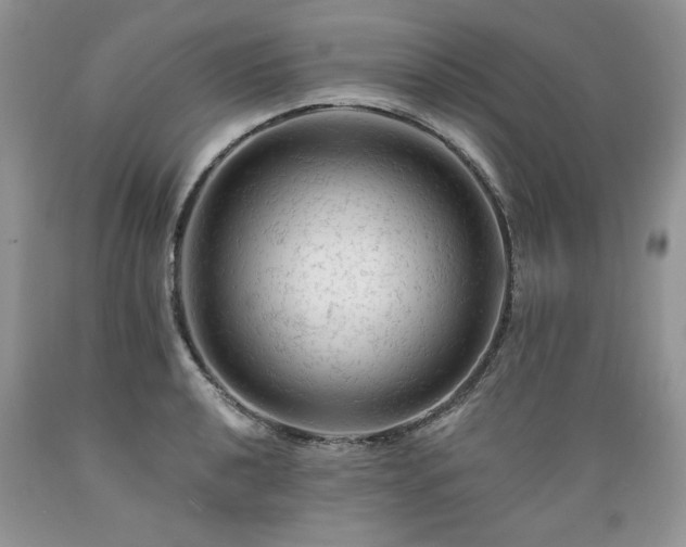 X0000089381040200706221249