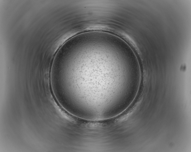 X0000089381041200706221249