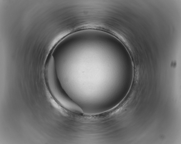X0000089381042200706221249