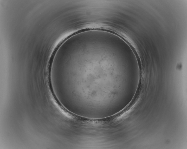 X0000089381045200706221249