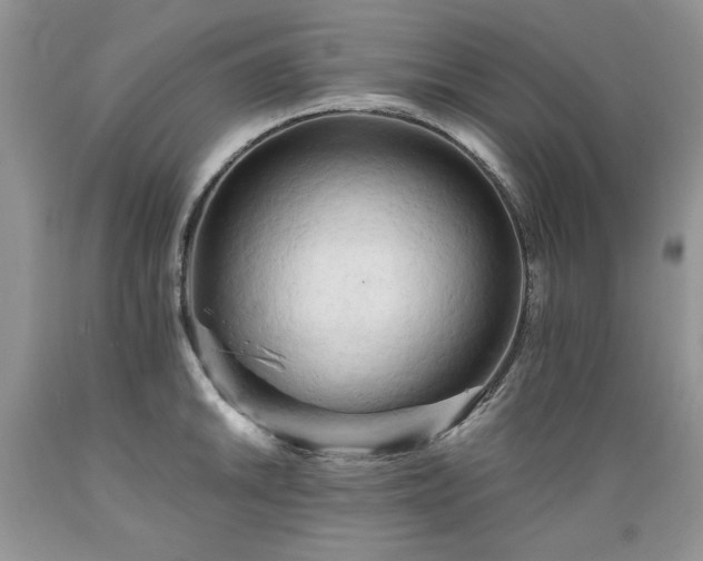 X0000089381046200706221249