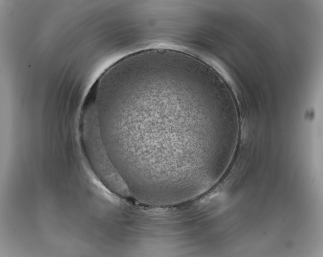 X0000089381048200706221249
