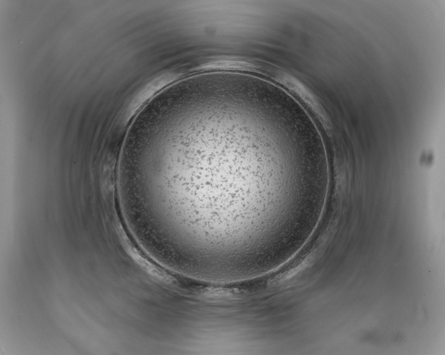 X0000089381049200706221249