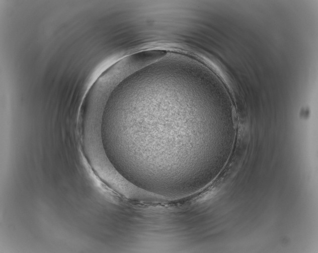 X0000089381050200706221249
