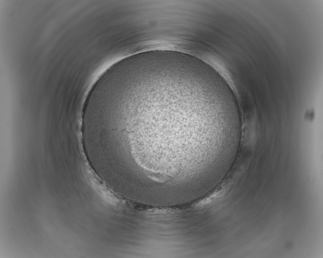 X0000089381051200706221249