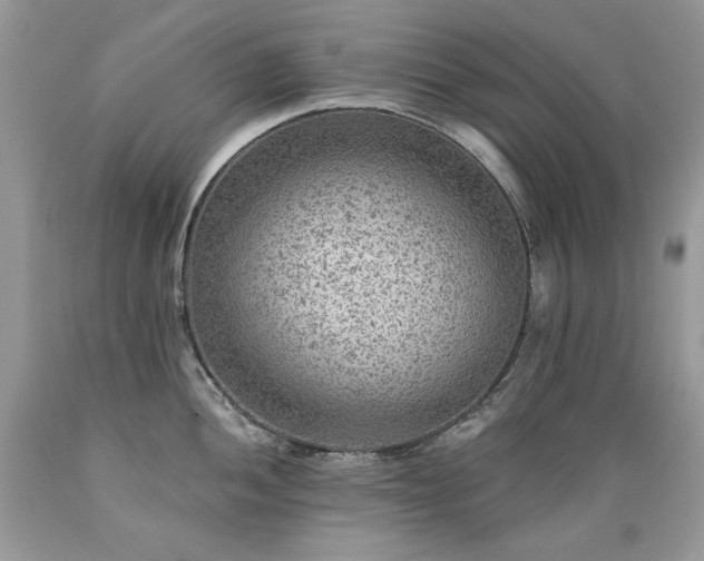 X0000089381052200706221249