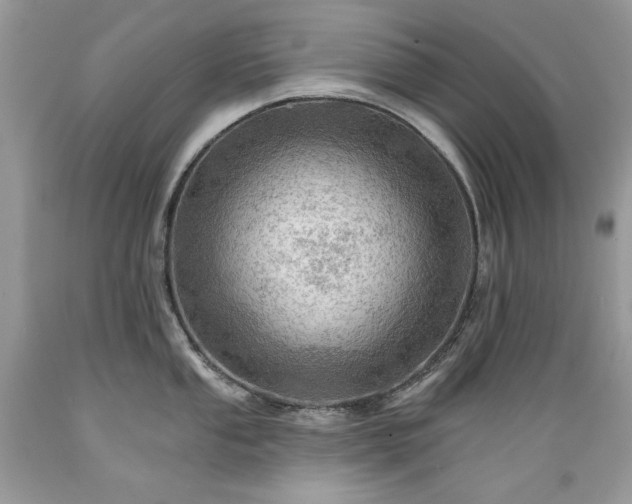 X0000089381053200706221249