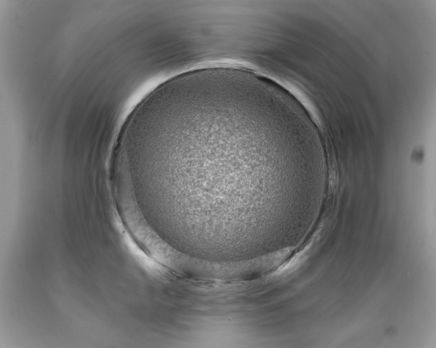 X0000089381054200706221249