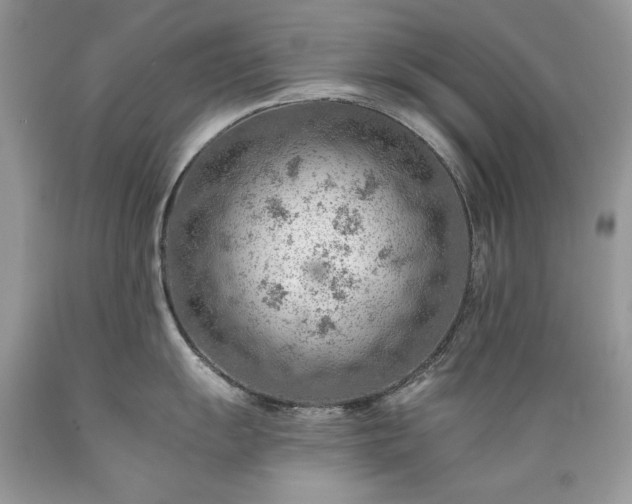 X0000089381055200706221249