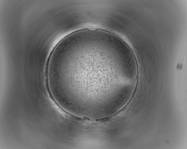 X0000089381056200706221249