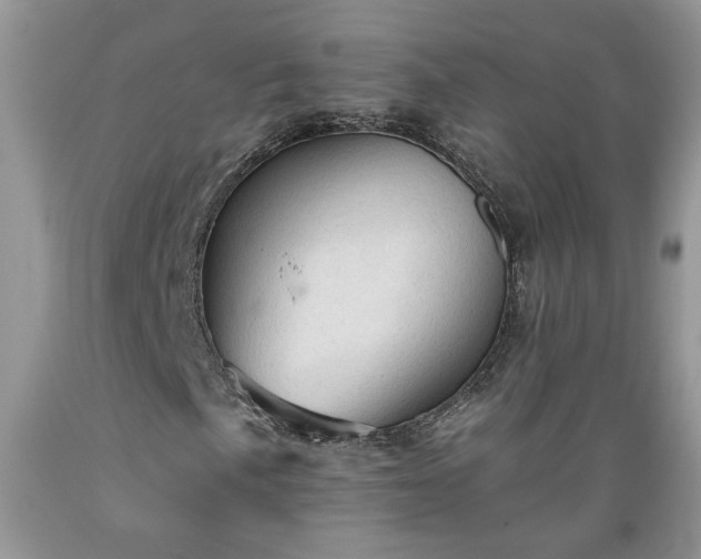 X0000089381057200706221249