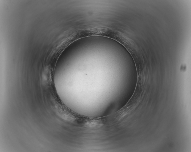 X0000089381058200706221249