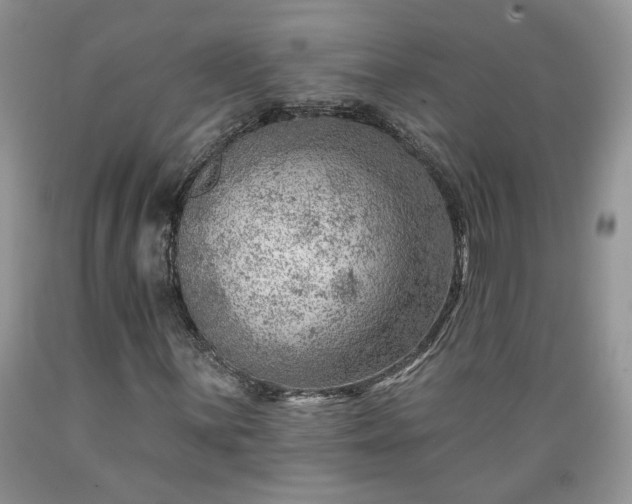 X0000089381059200706221249