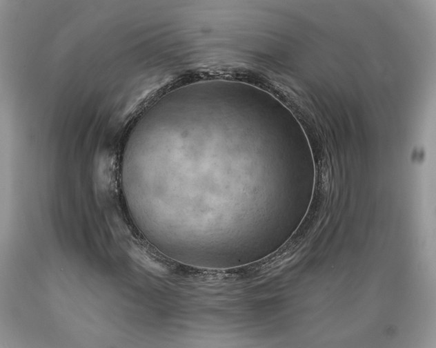 X0000089381060200706221249