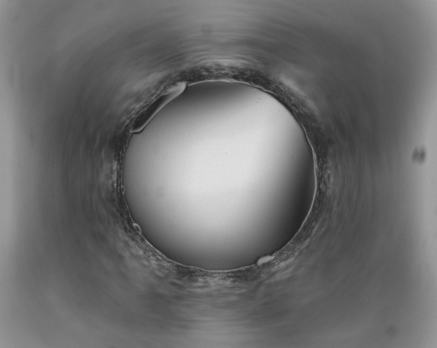 X0000089381061200706221249