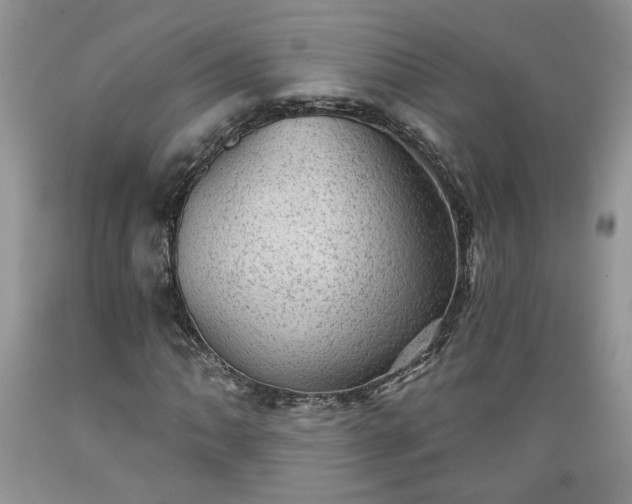 X0000089381062200706221249