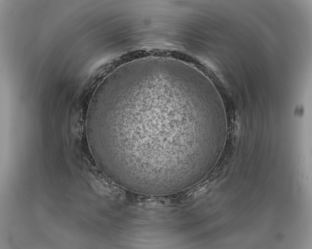 X0000089381063200706221249
