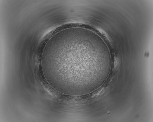 X0000089381064200706221249