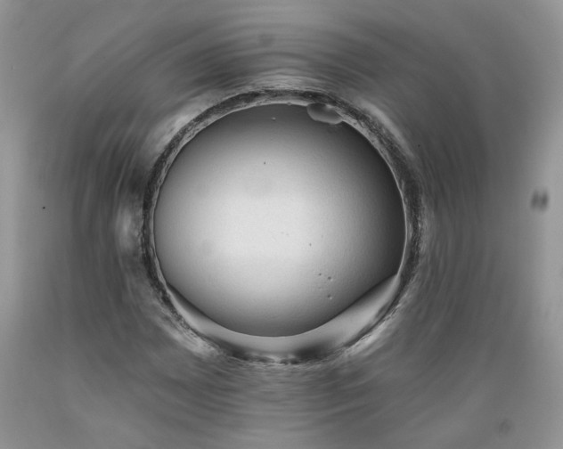 X0000089381065200706221249