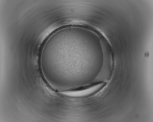 X0000089381066200706221249
