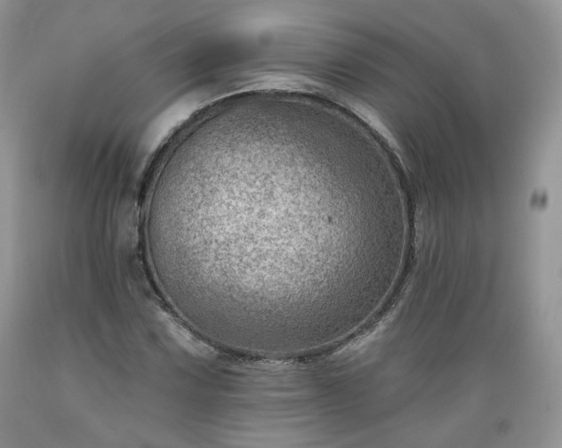 X0000089381067200706221249