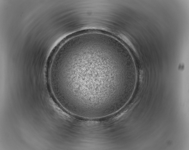 X0000089381068200706221249
