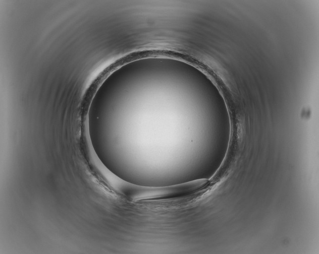 X0000089381069200706221249