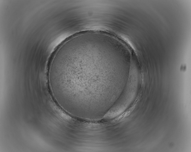 X0000089381071200706221249