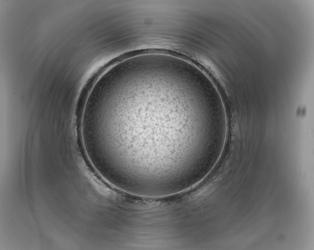 X0000089381072200706221249