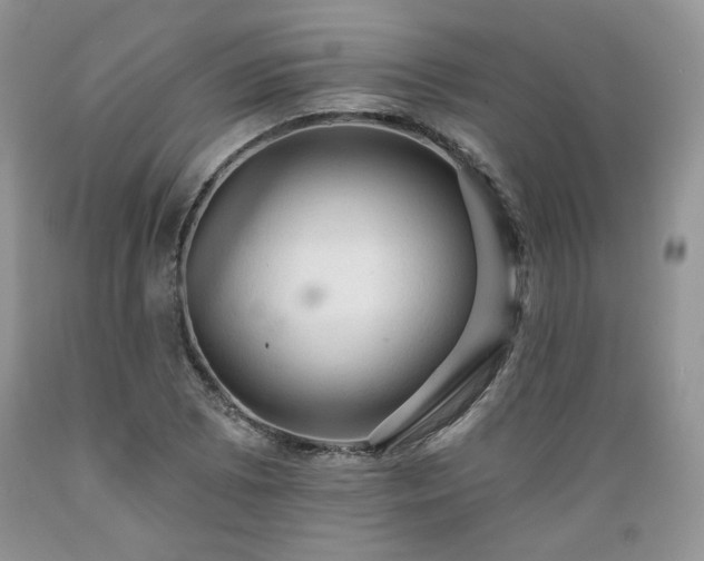 X0000089381073200706221249