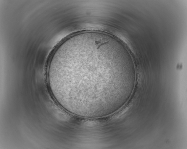 X0000089381074200706221249