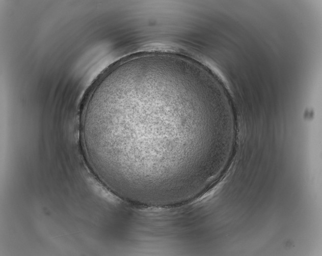 X0000089381075200706221249
