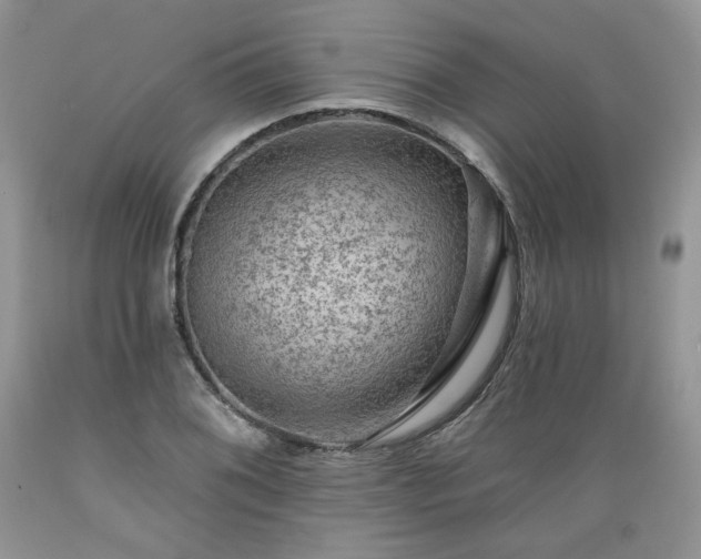 X0000089381076200706221249