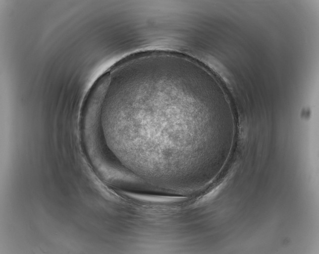 X0000089381077200706221249