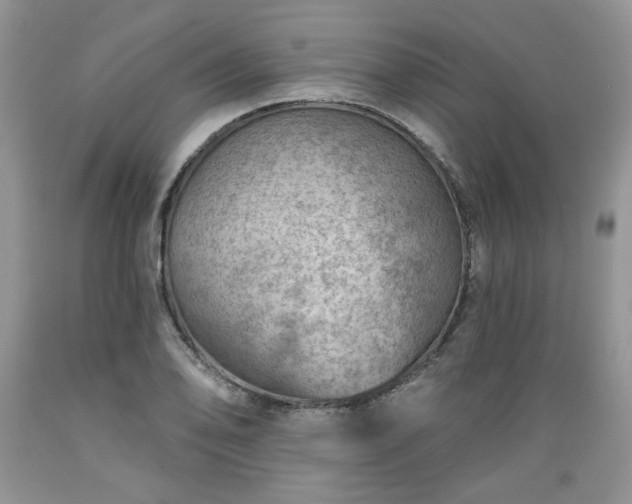 X0000089381078200706221249
