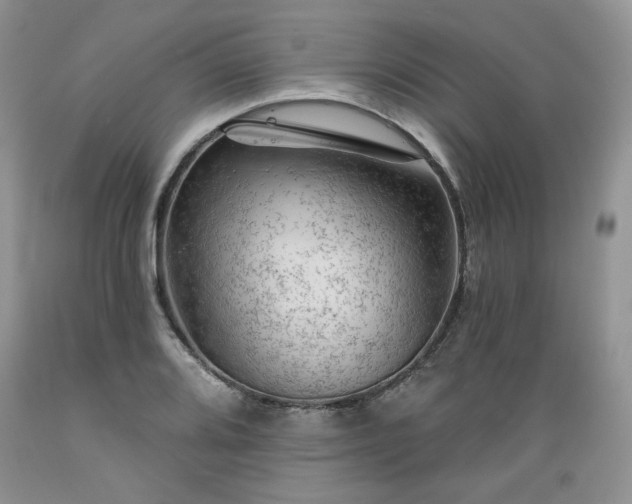 X0000089381080200706221248