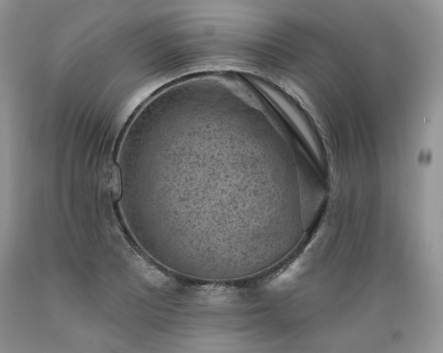 X0000089381081200706221248