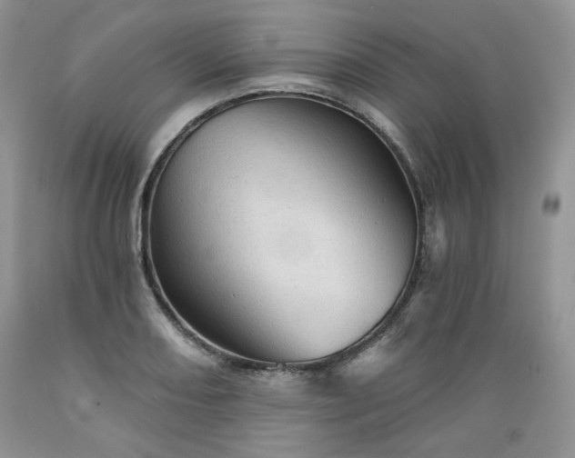 X0000089381082200706221248